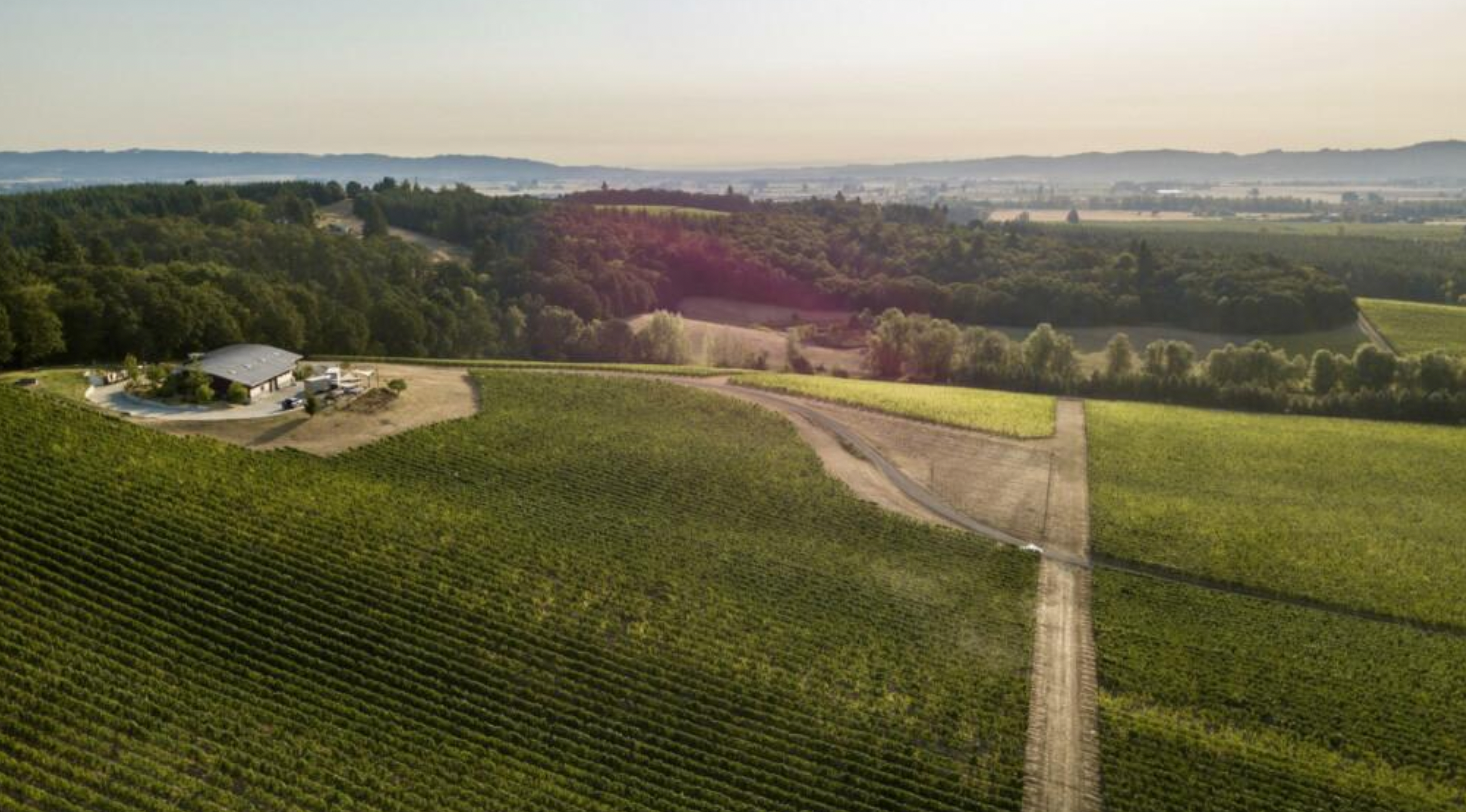 Screen Shot 2024-07-31 at 4.09.02 PM.png