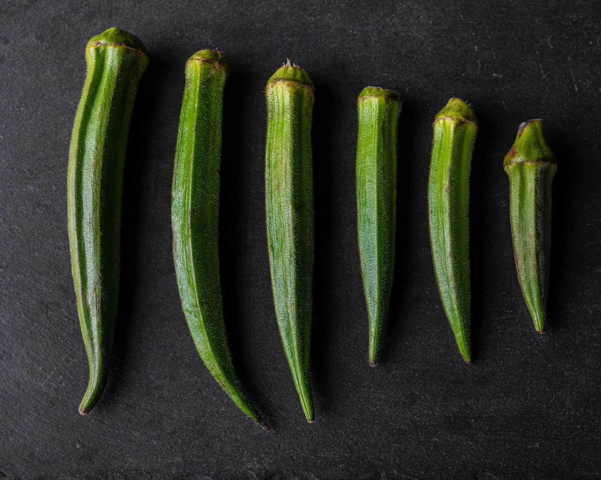 SamKanKook - 12-03-22-344.jpg