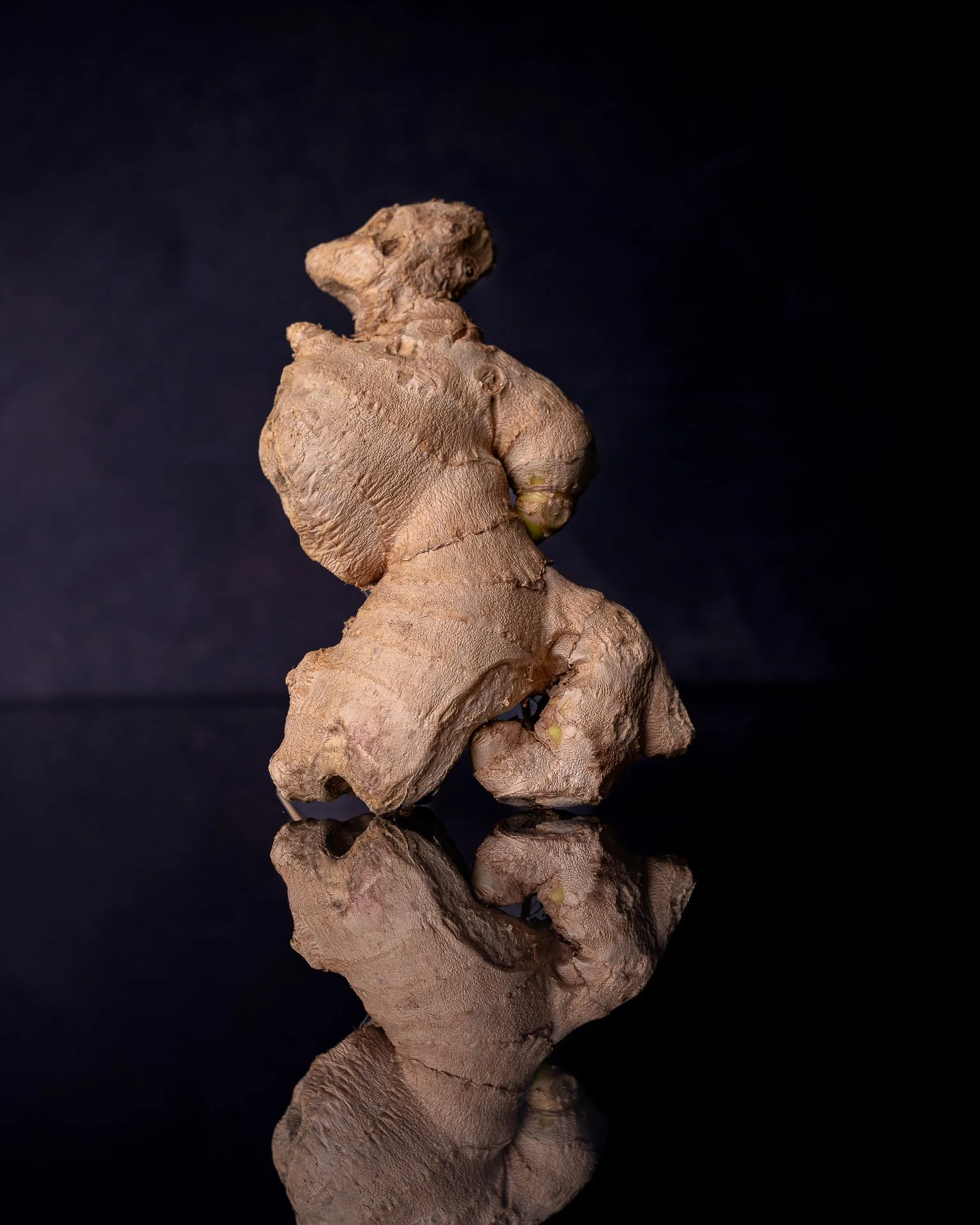 SamKanKook - 10-07-22-2262 2.jpg