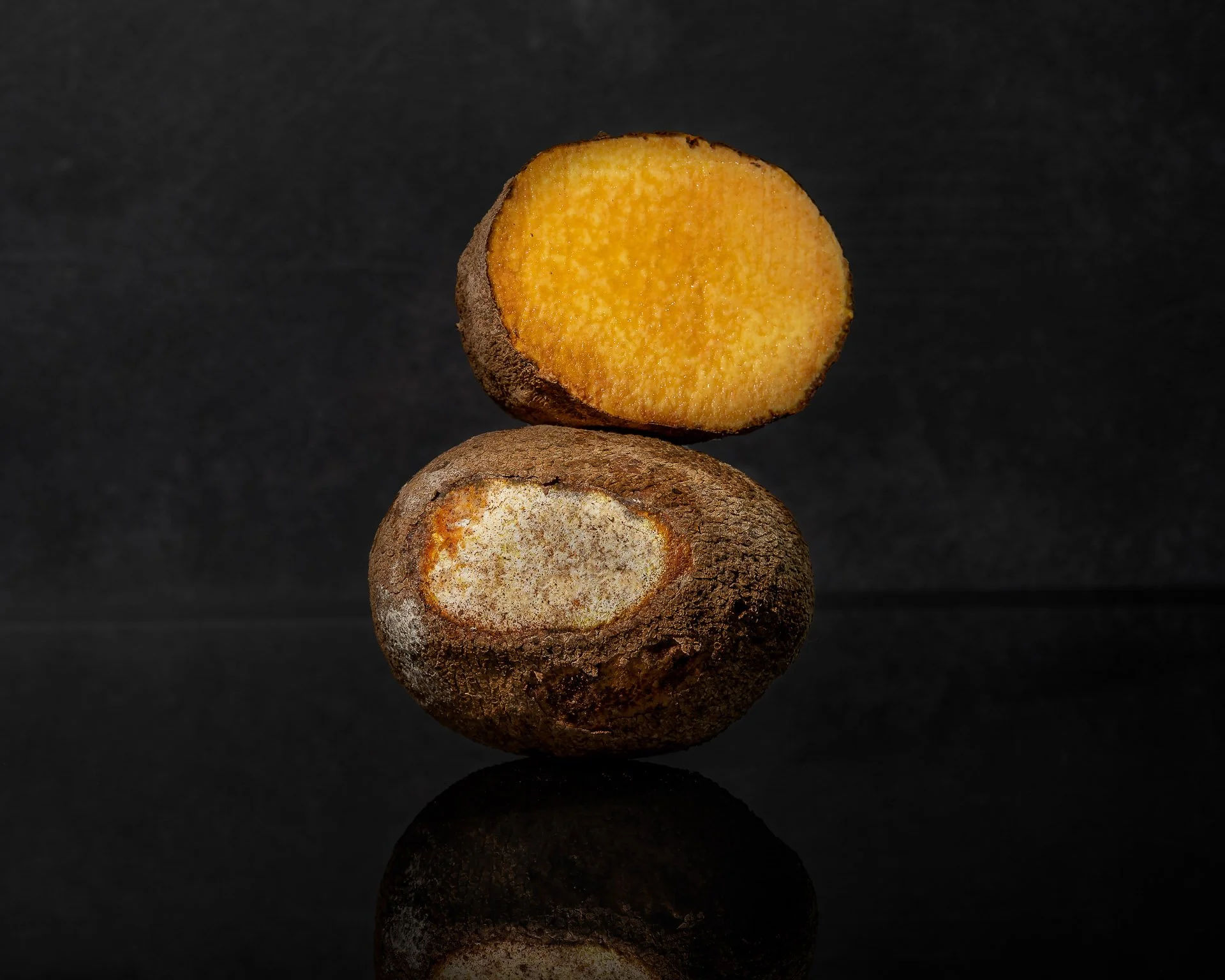 SamKanKook - 12-03-22-299-Edit.jpg