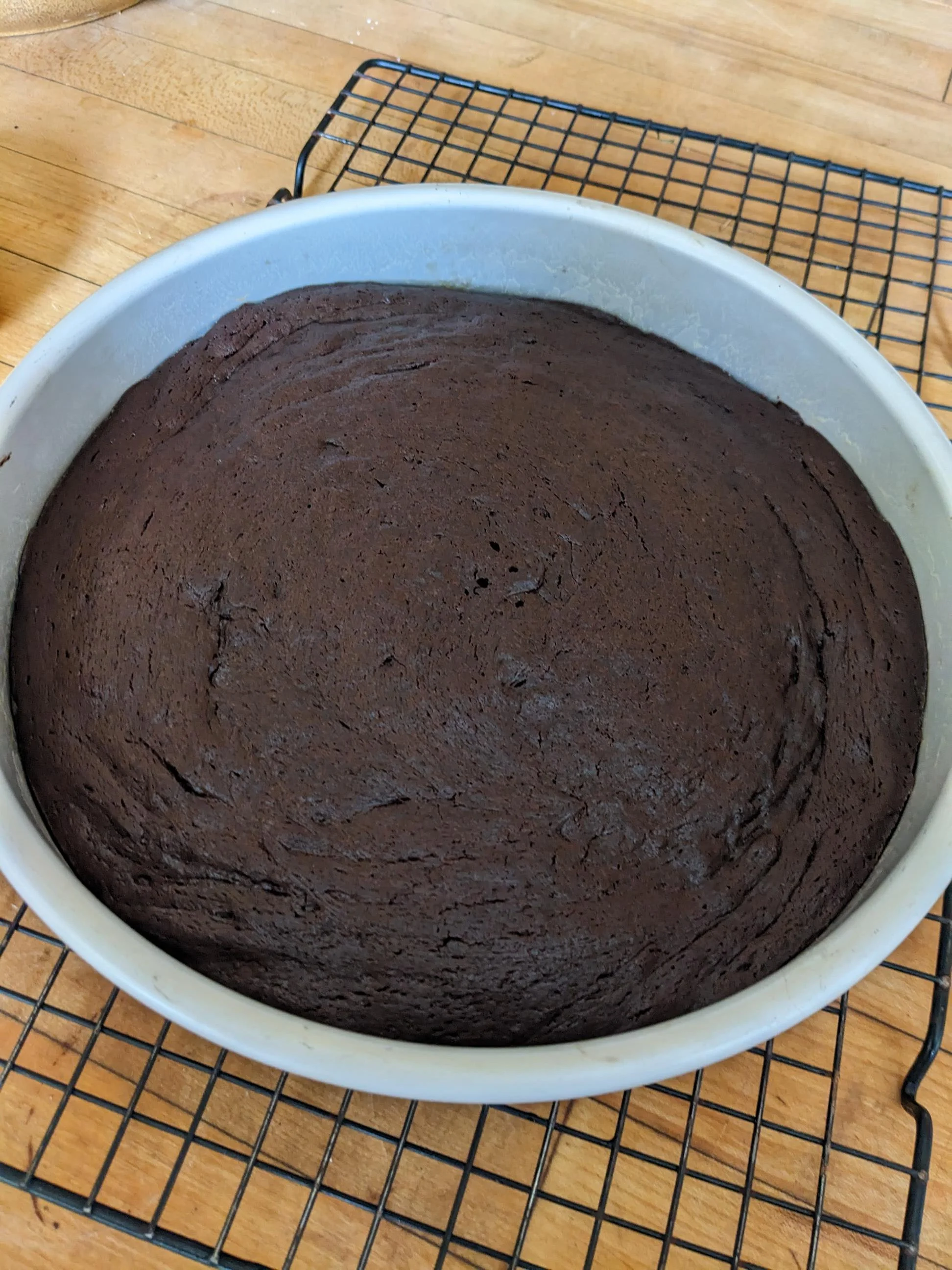 PXL_20240307_175844264.jpg