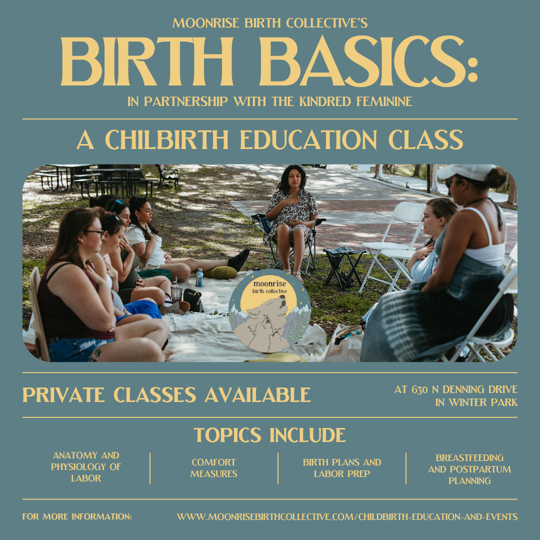 Private Birth Basics: Childbirth Education