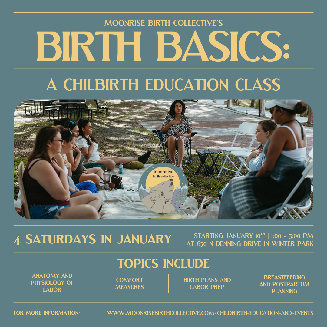 Birth Basics: Childbirth Education | Winter Class Series