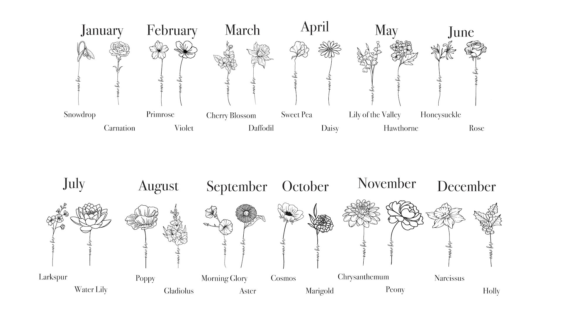 Flower Choices.jpg