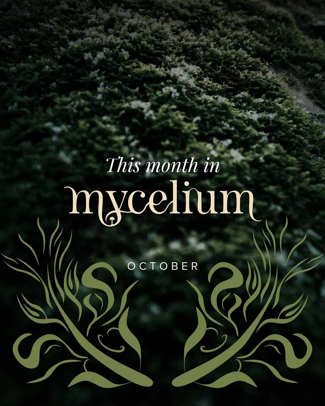 Our digital ecosystem for women&rsquo;s medicine, growth &amp; sisterhood - fueled by feminine depth, not algor!+hms&hellip;.. IS HERE!

See you on the forest floor? 🍄