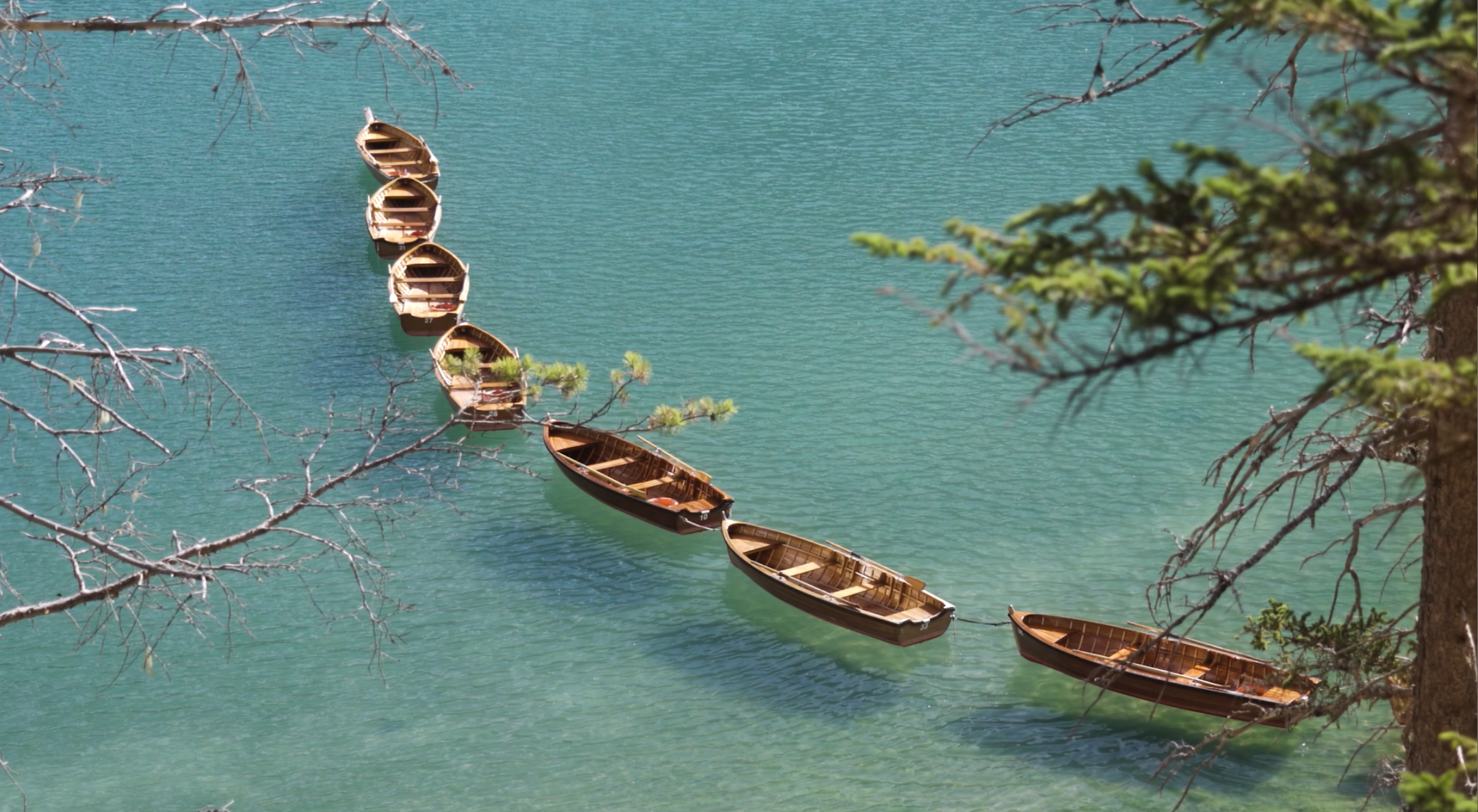 Procurement jobs in Adelaide.PNG