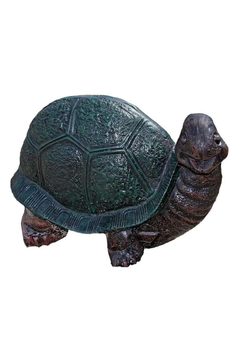 turtle7_2x3_fit.jpg