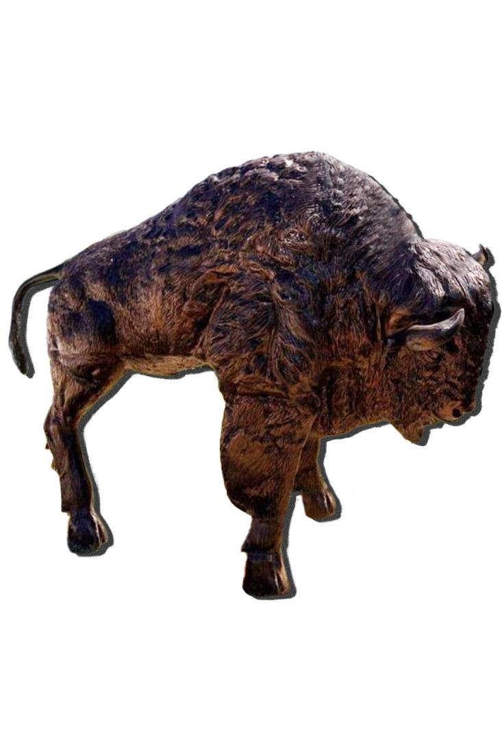 bison2_right_2x3.jpg
