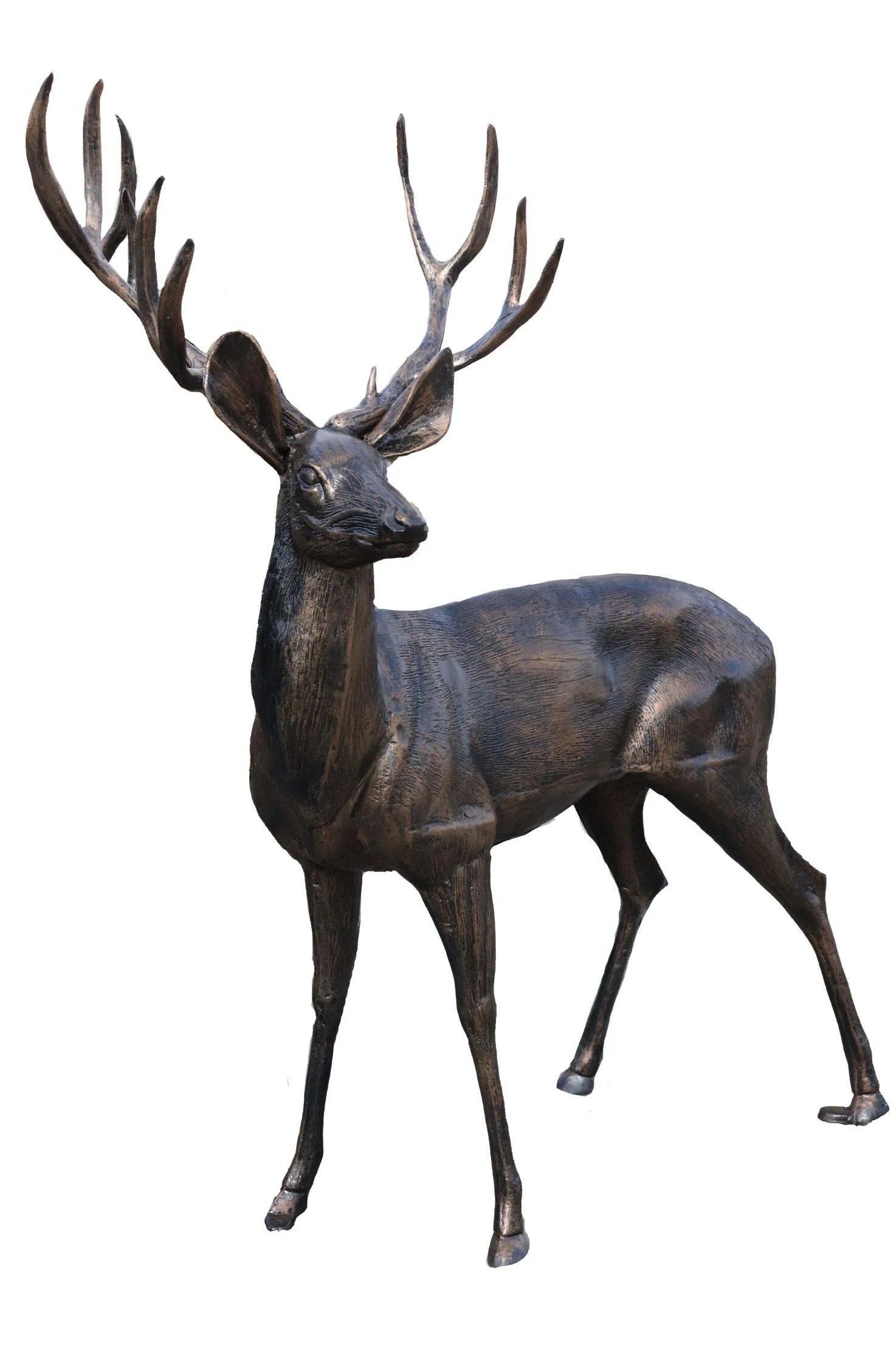 deer11_full_2x3.jpg