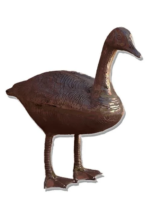 goose2_2x3_fit.jpg