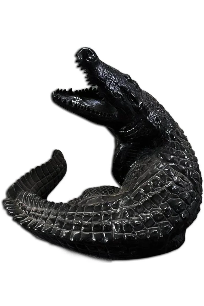 alligator_2x3_fit.jpg