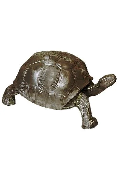 turtle3_2x3_fit.jpg