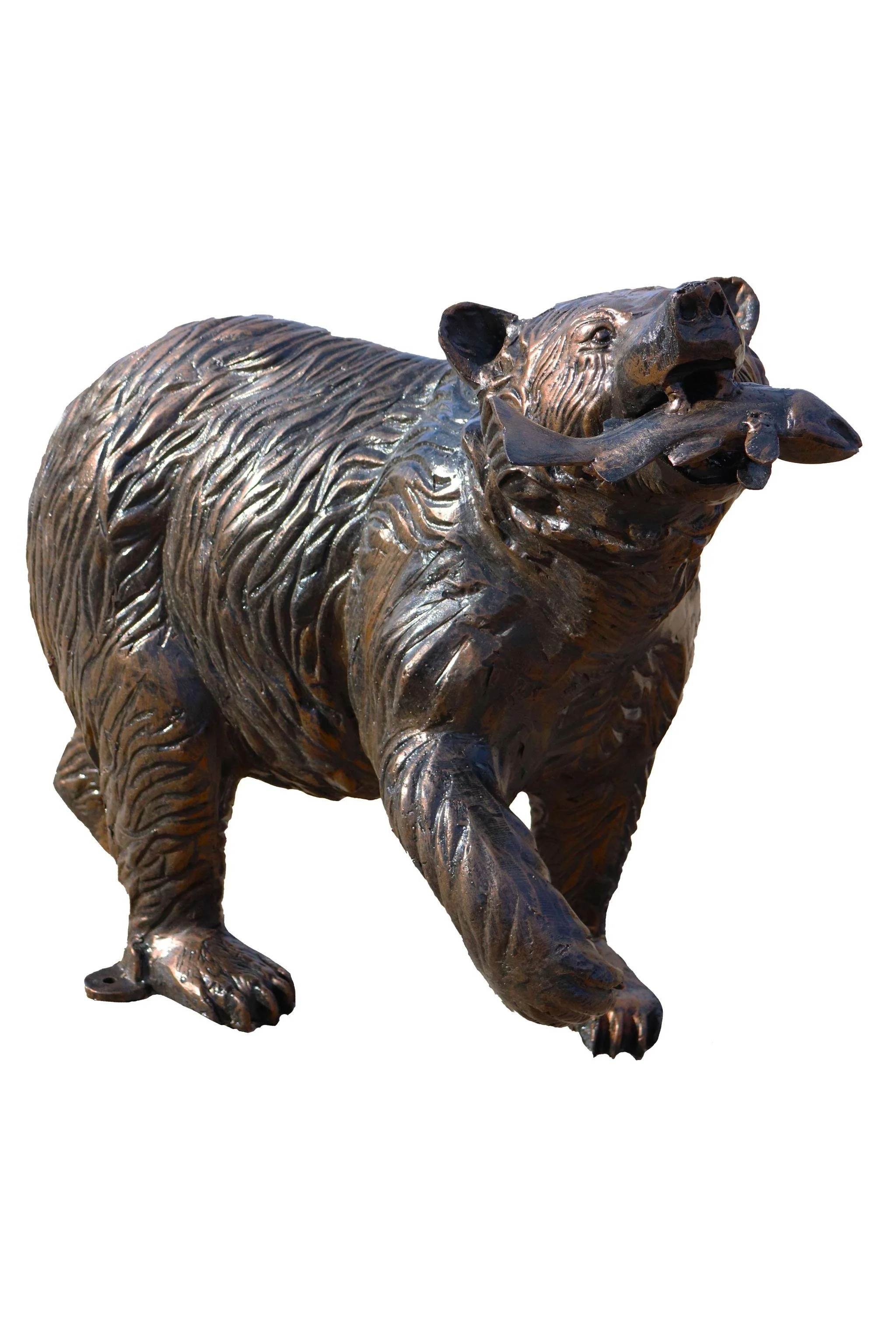 Small Grizzly With Salmon