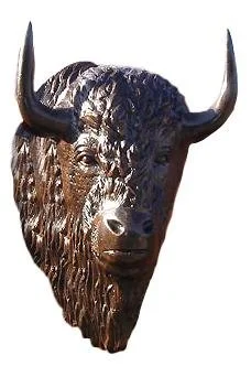 XL Buffalo Head