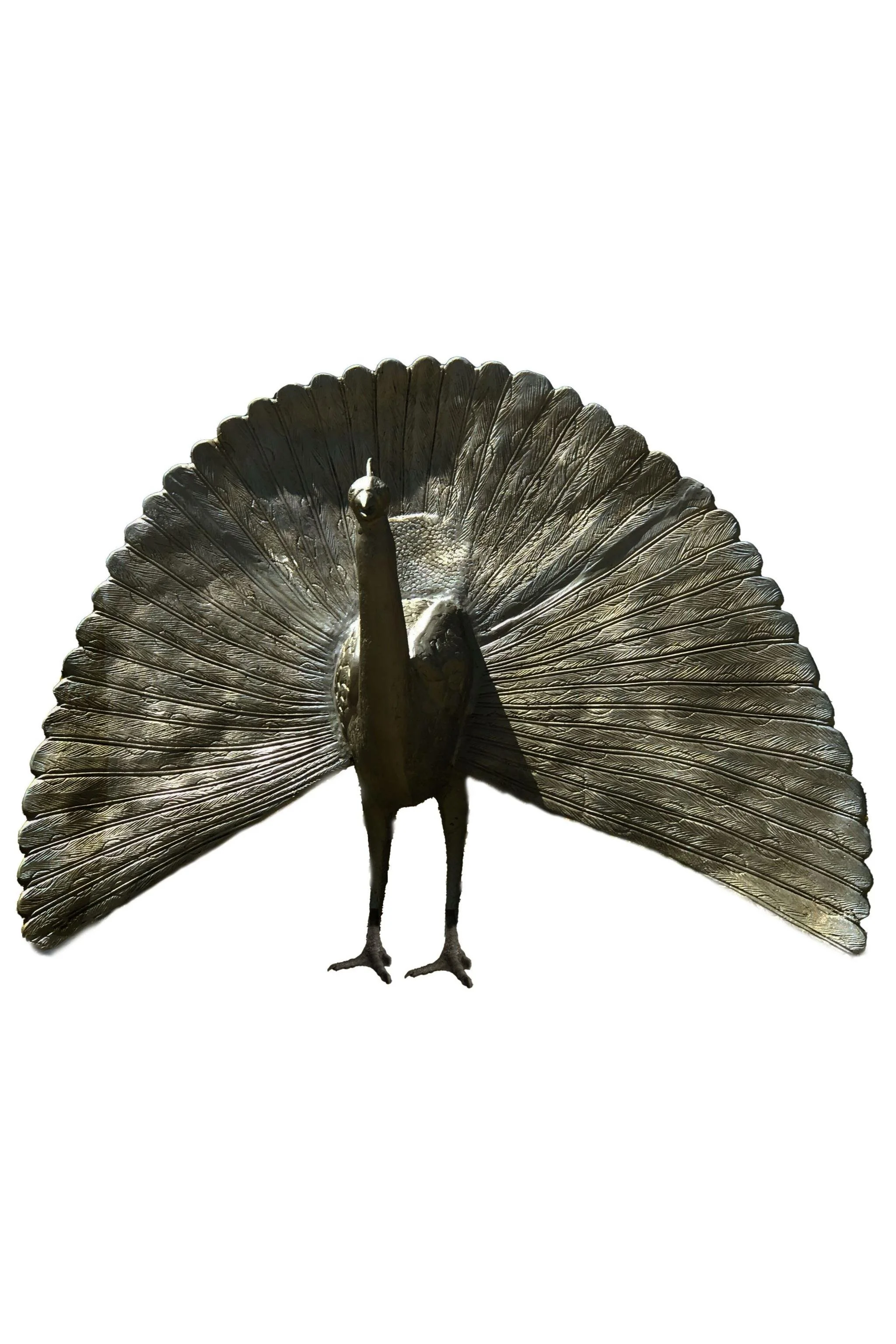 peacock_fan_2x3_fit.jpg