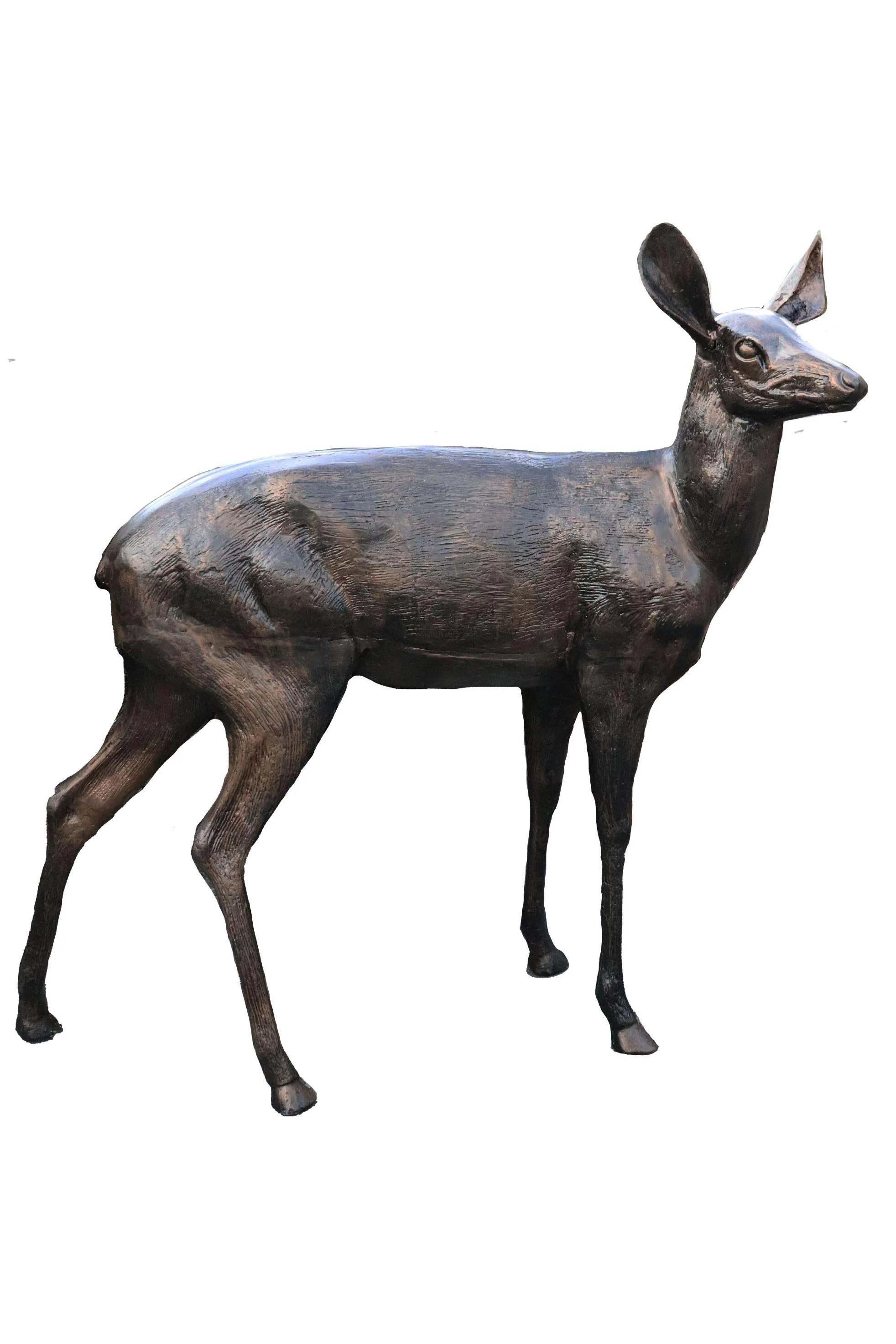 deer8_full_2x3.jpg