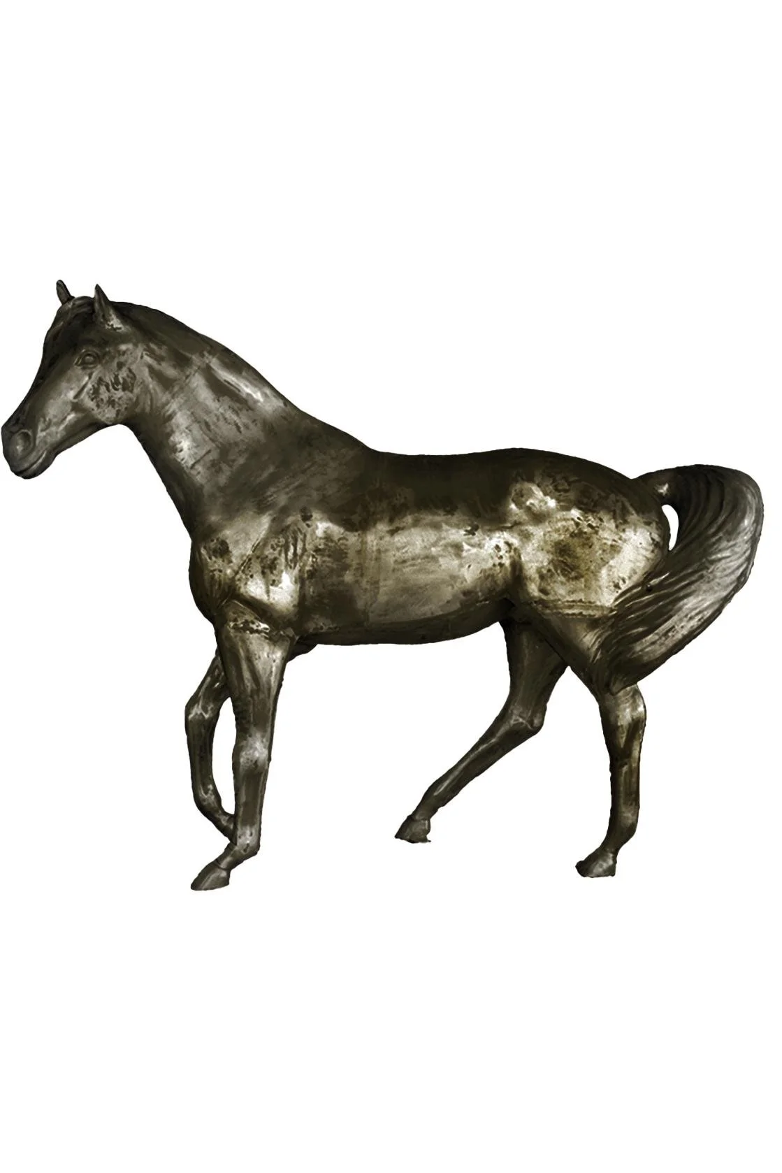 Arabian Horse