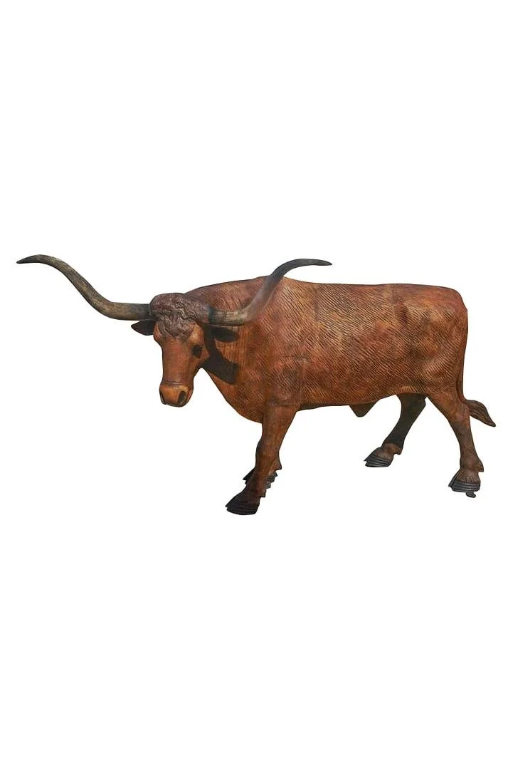 longhorn_2x3.jpg