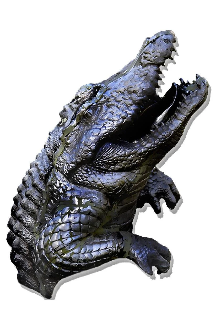 alligator2_2x3_fit.jpg