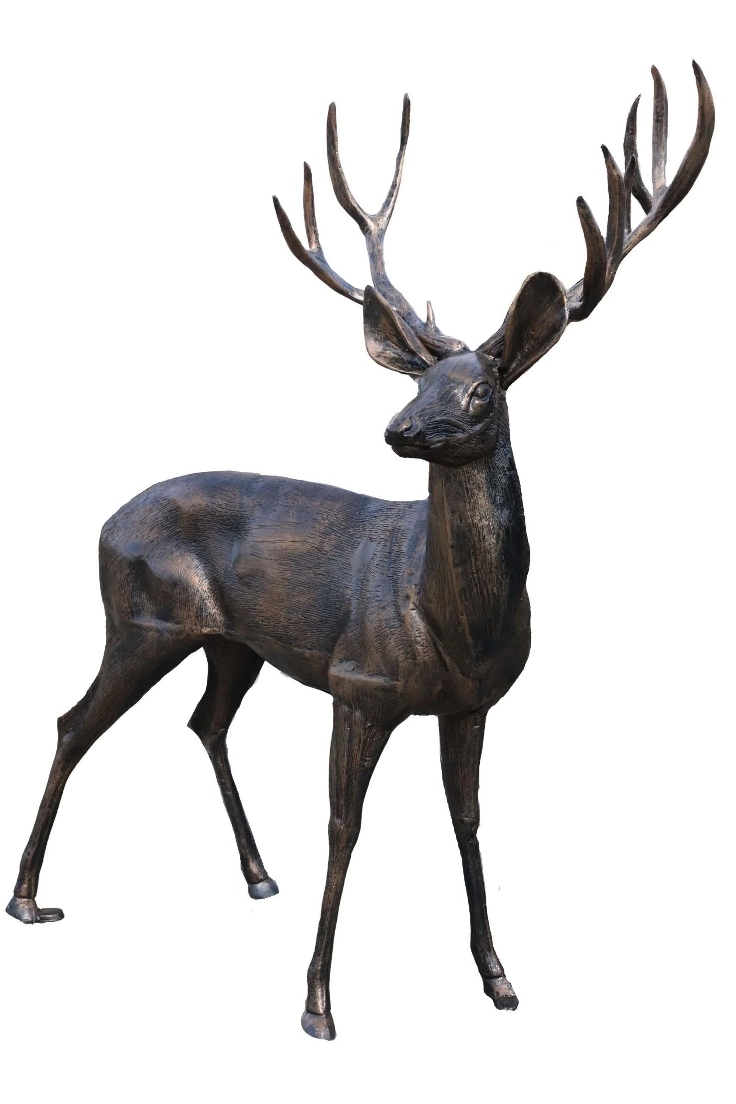 Deer Buck Facing Right