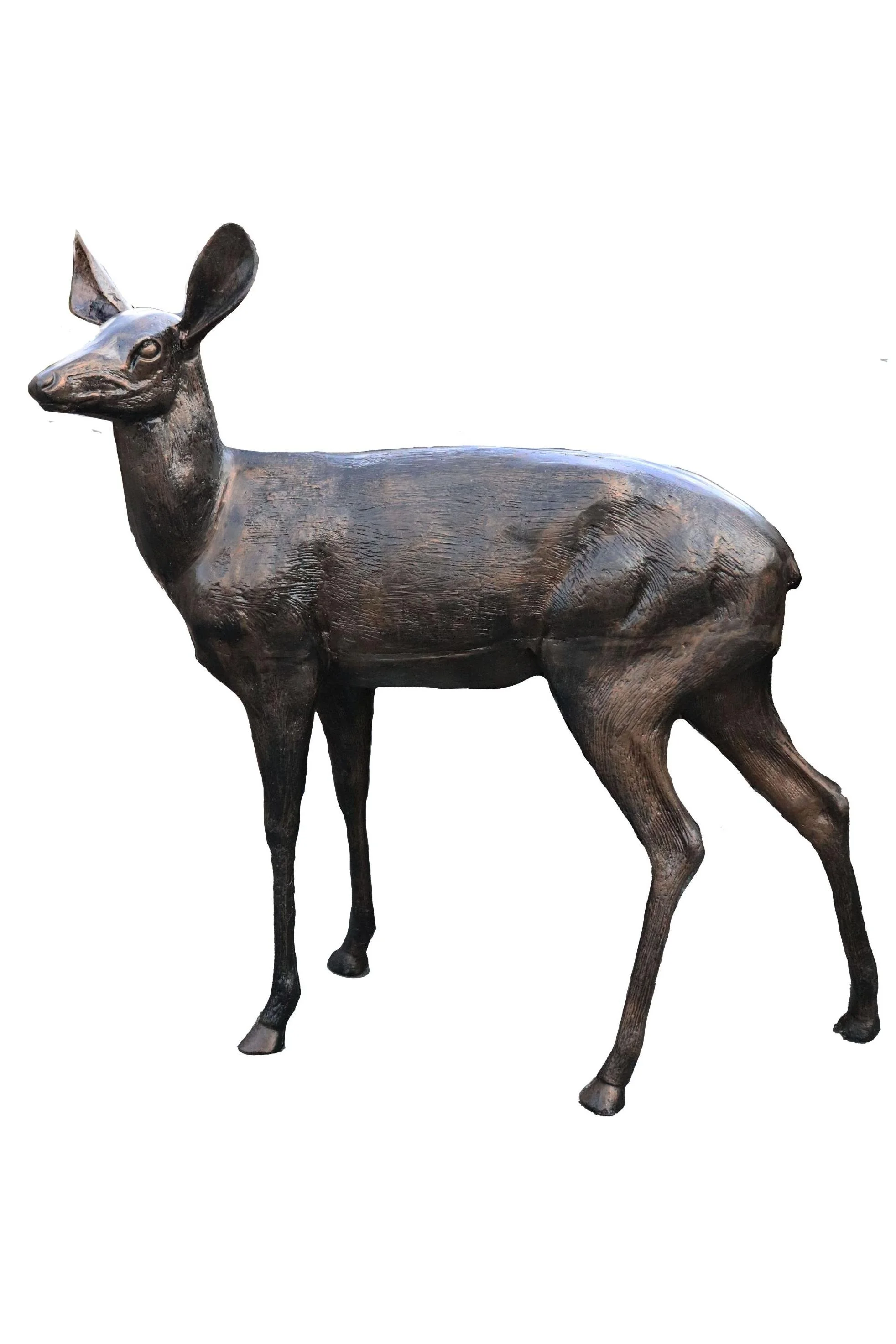deer_left_2x3.jpg