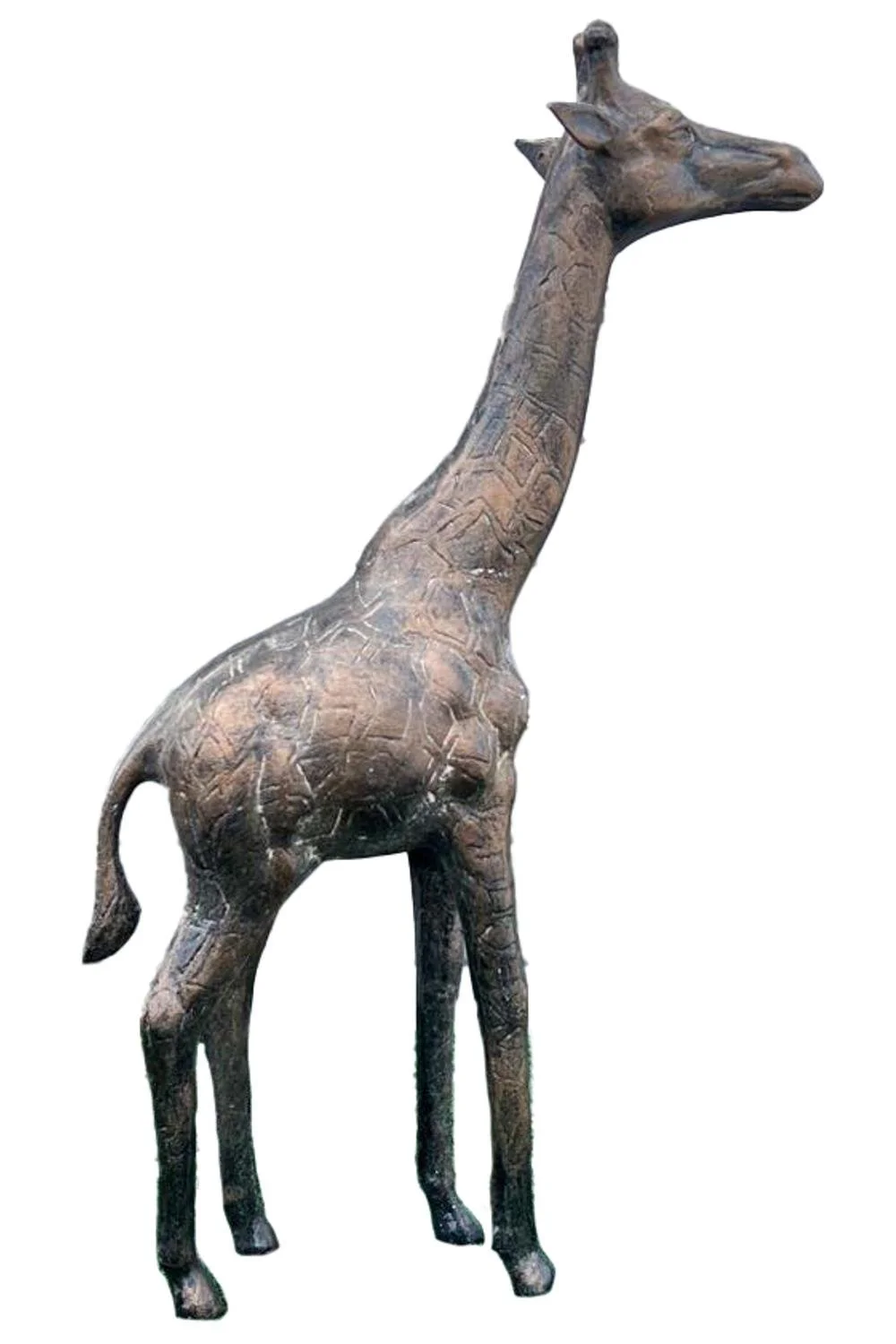 giraffe5_white_2x3.jpg