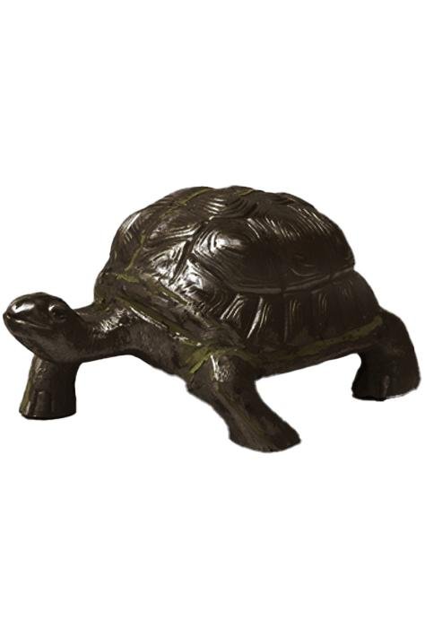 turtle4_2x3_fit.jpg