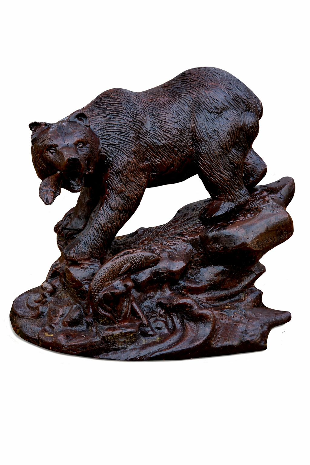 Fishing Grizzly Bear