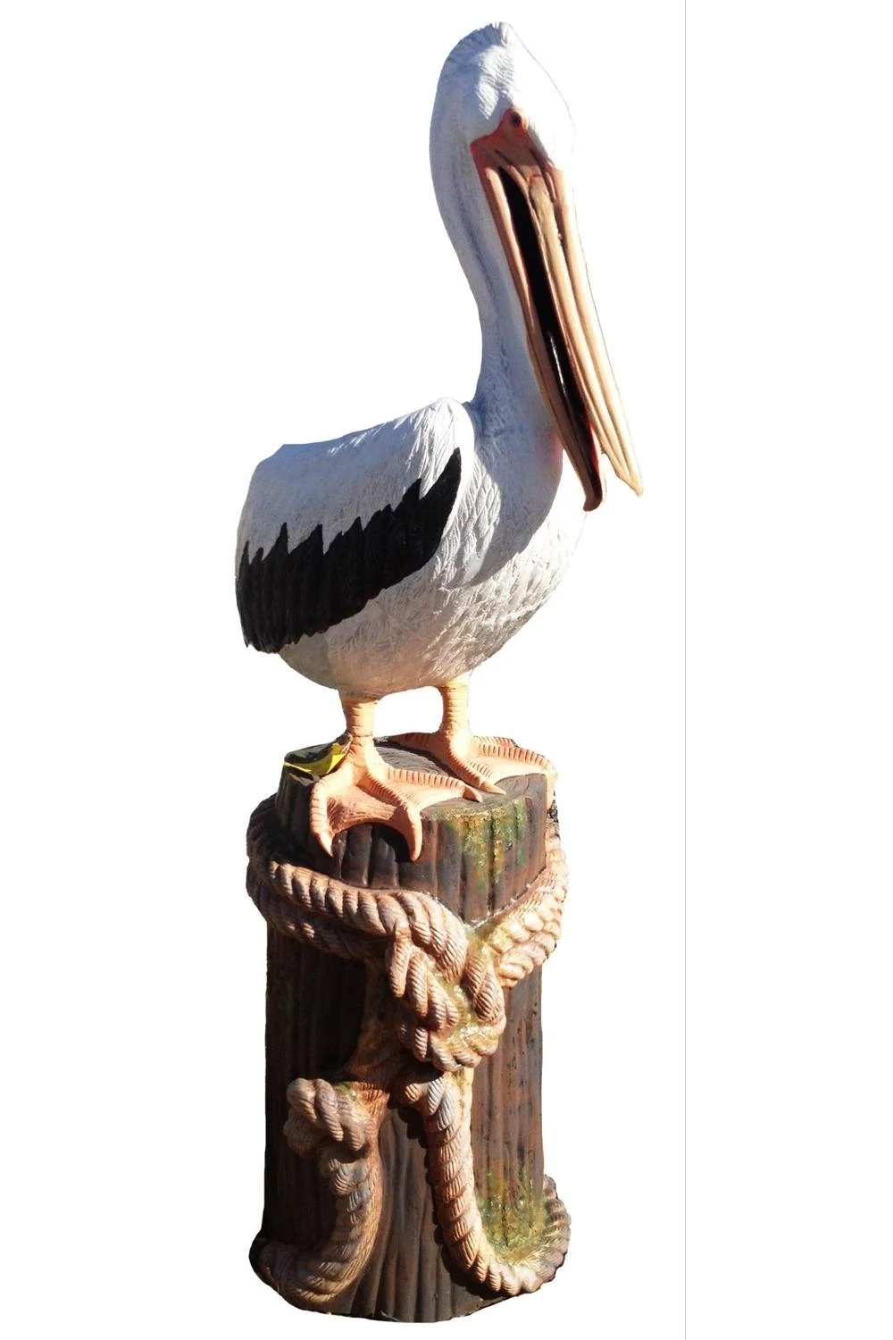 pelican_white_2x3.jpg