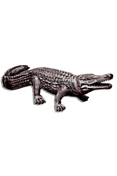 alligator3_2x3_fit.jpg