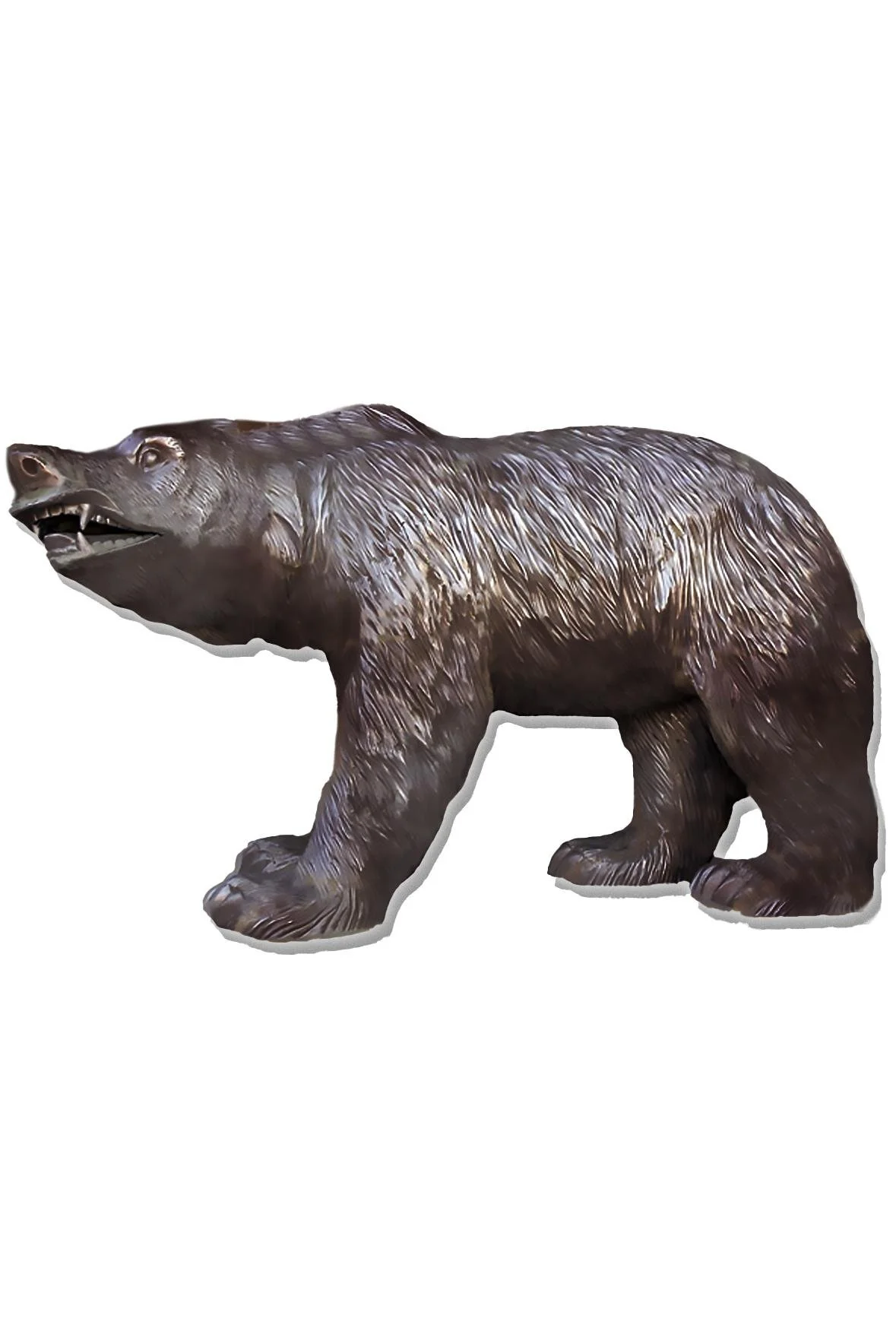 bear2_2x3.jpg