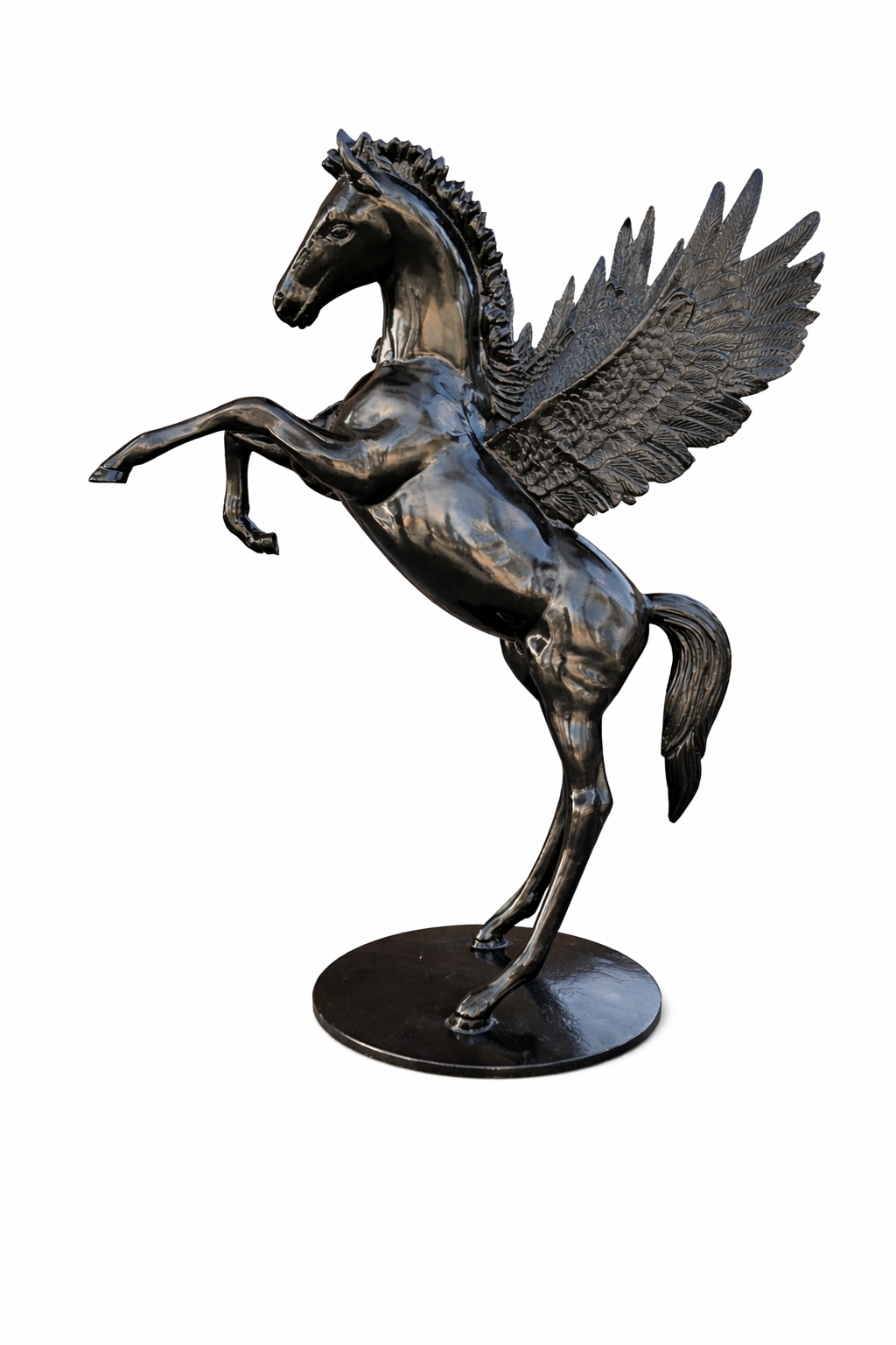 Pegasus Colt Rearing