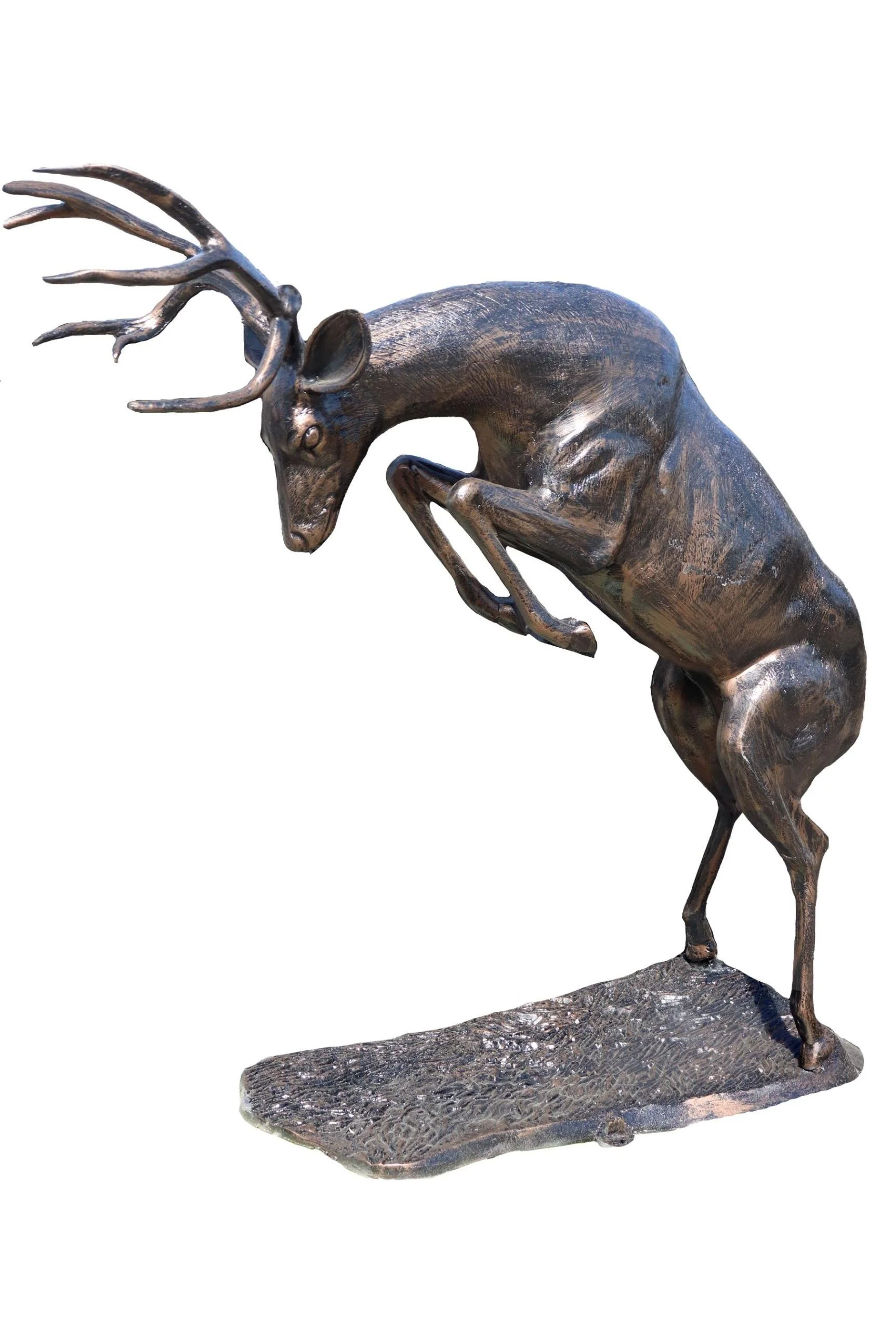 deer7_full_2x3 (1).jpg