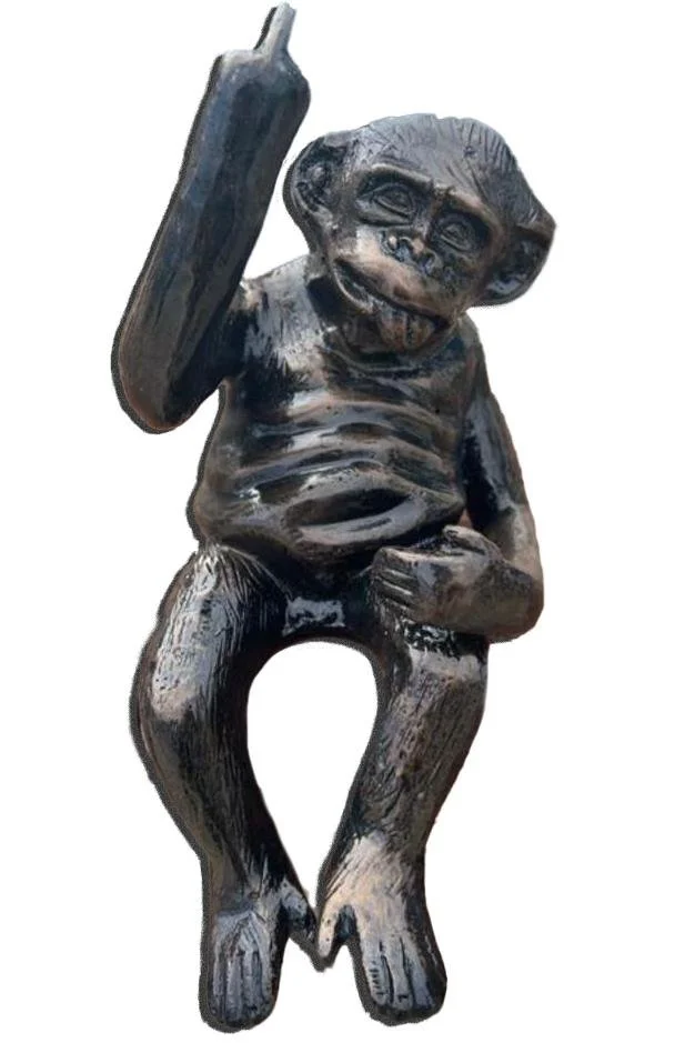 Small Monkey Flipping Finger