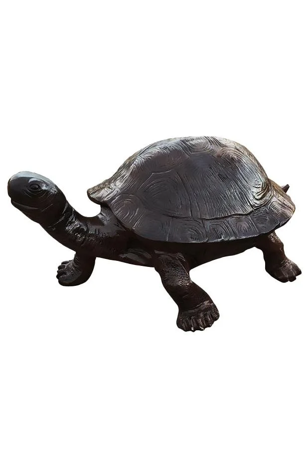 turtle2_2x3_fit.jpg