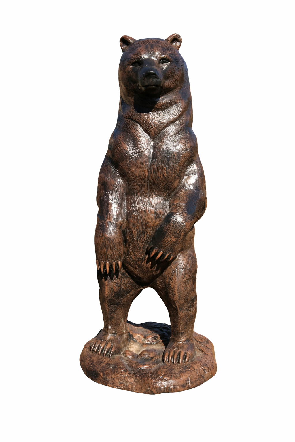 Medium Bear Standing