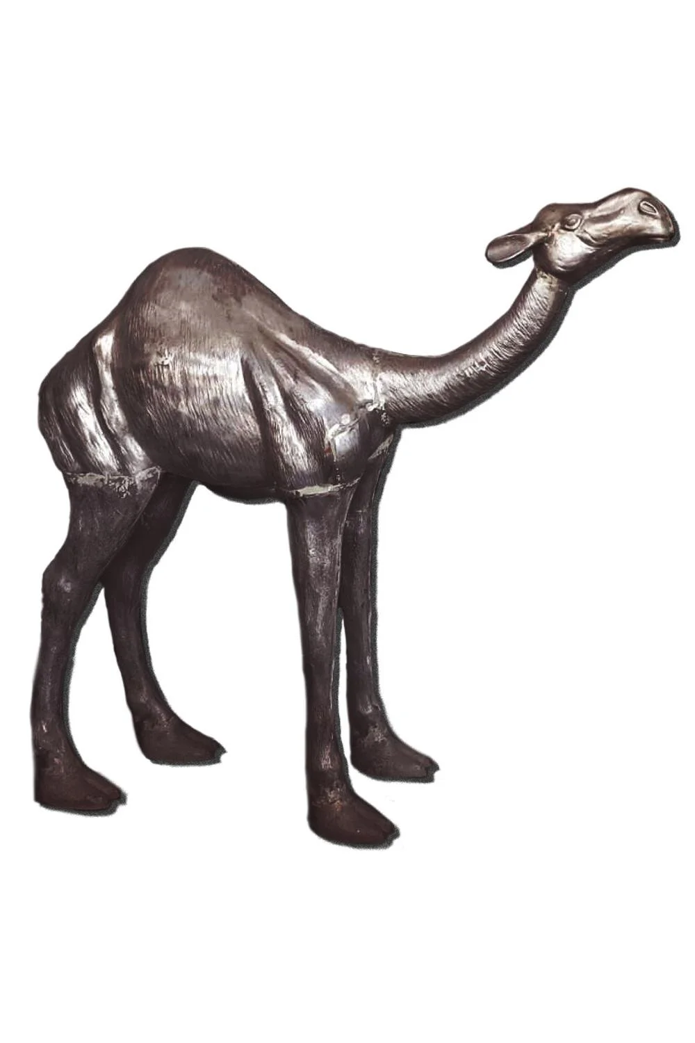 camel_white_2x3.jpg