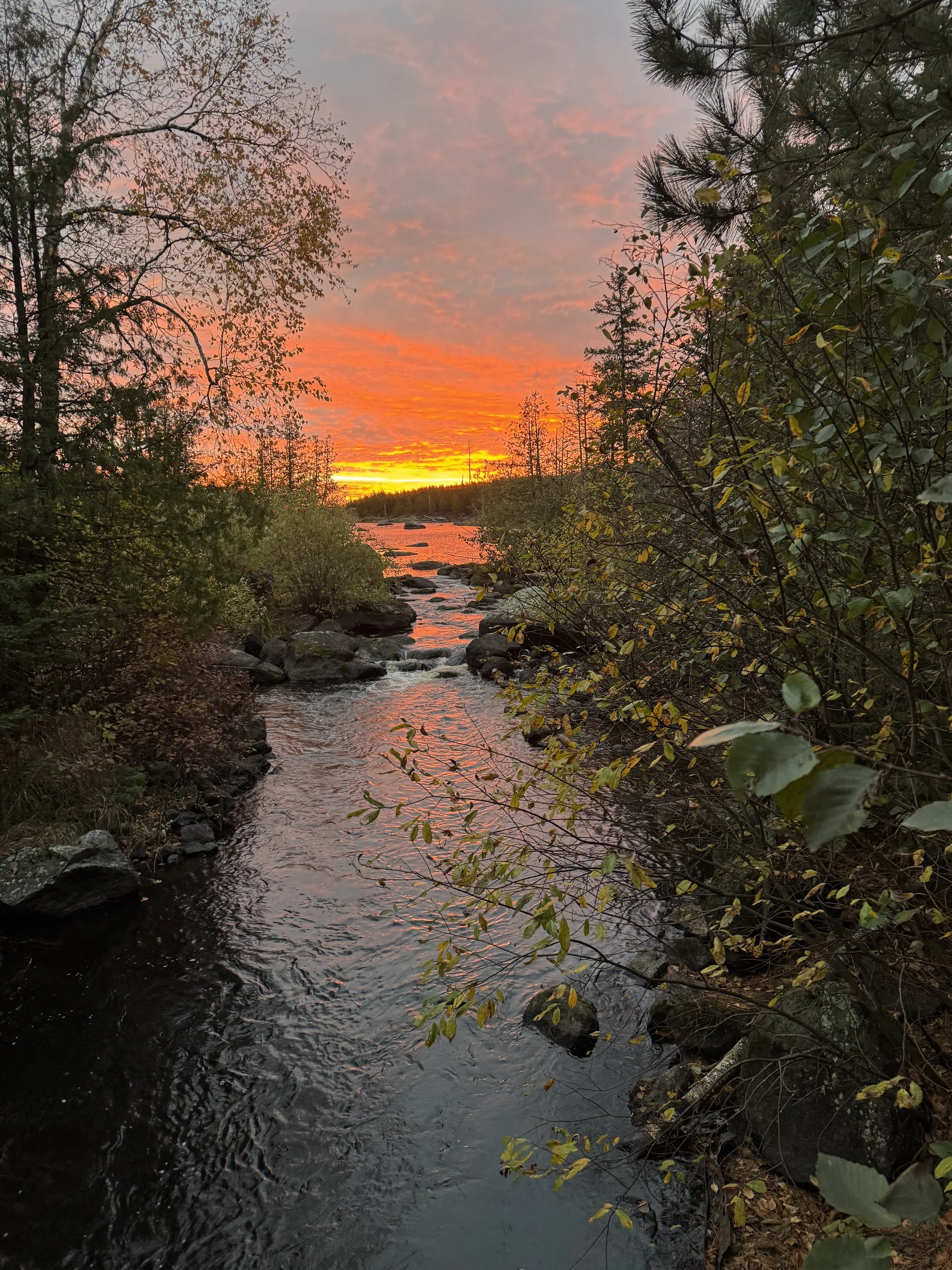 Rewilding Retreat Pay in Full Option