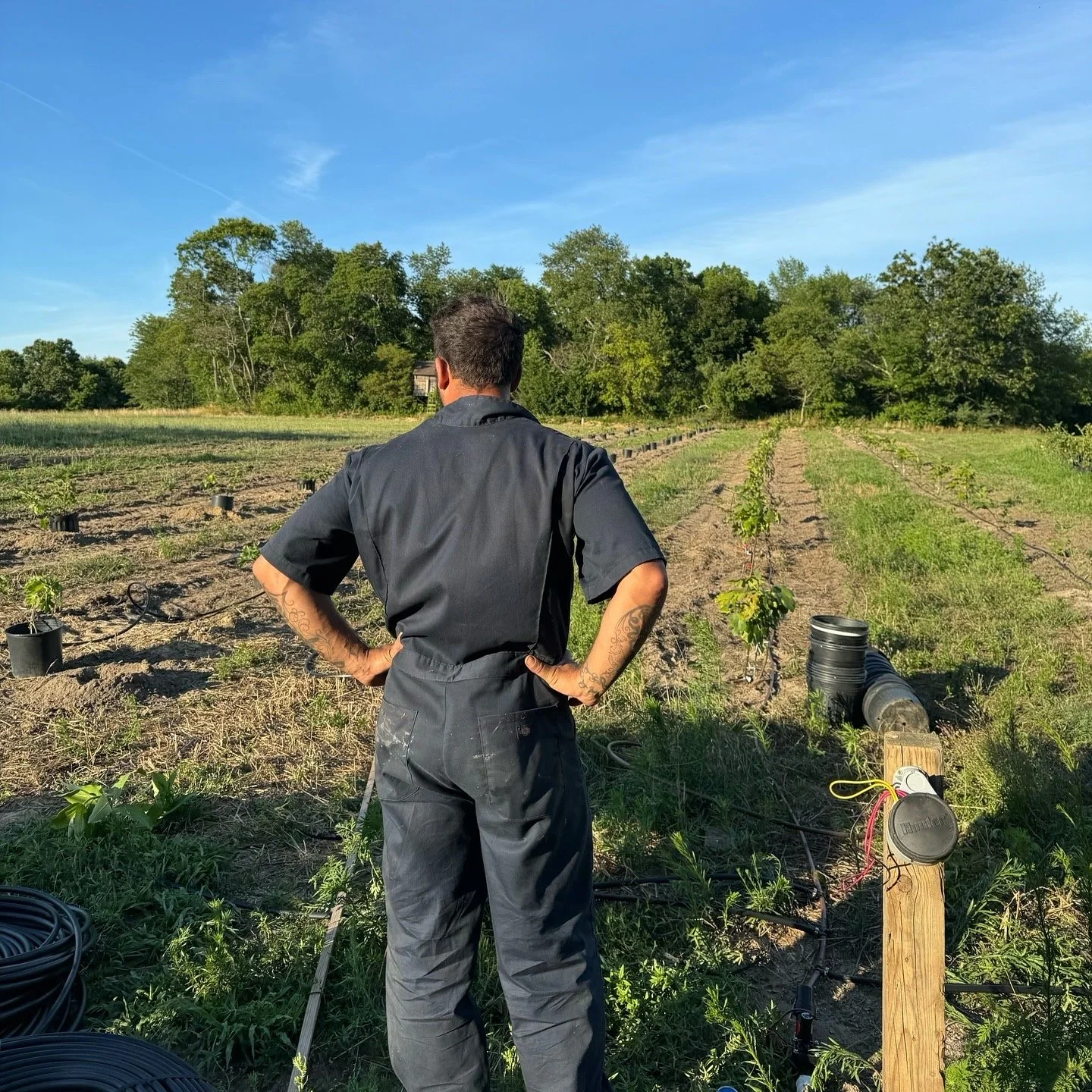 79C9F693-1E7A-449D-A374-D4CF4185B283 2.JPG