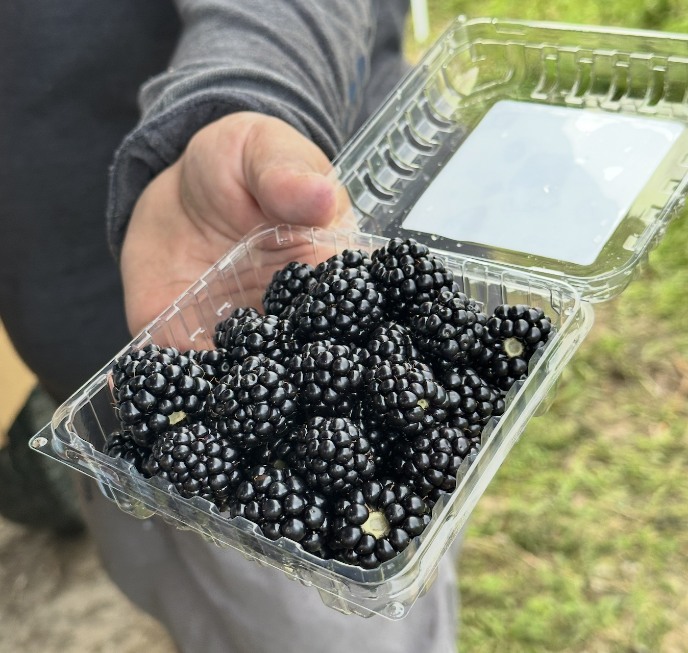 Screenshot 2025-09-02 at 3.16.45 PM.png