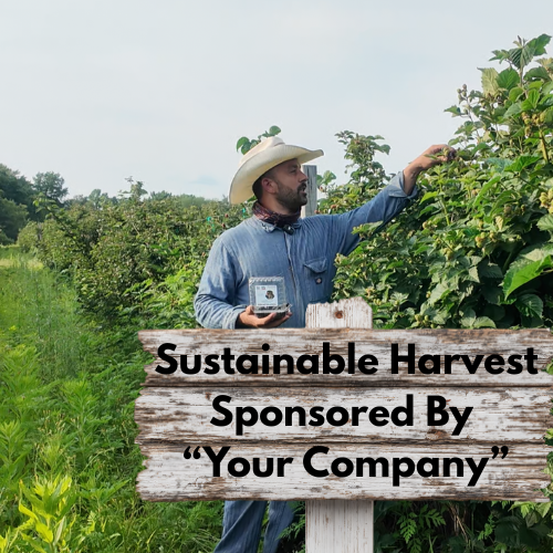 Your company name here.png