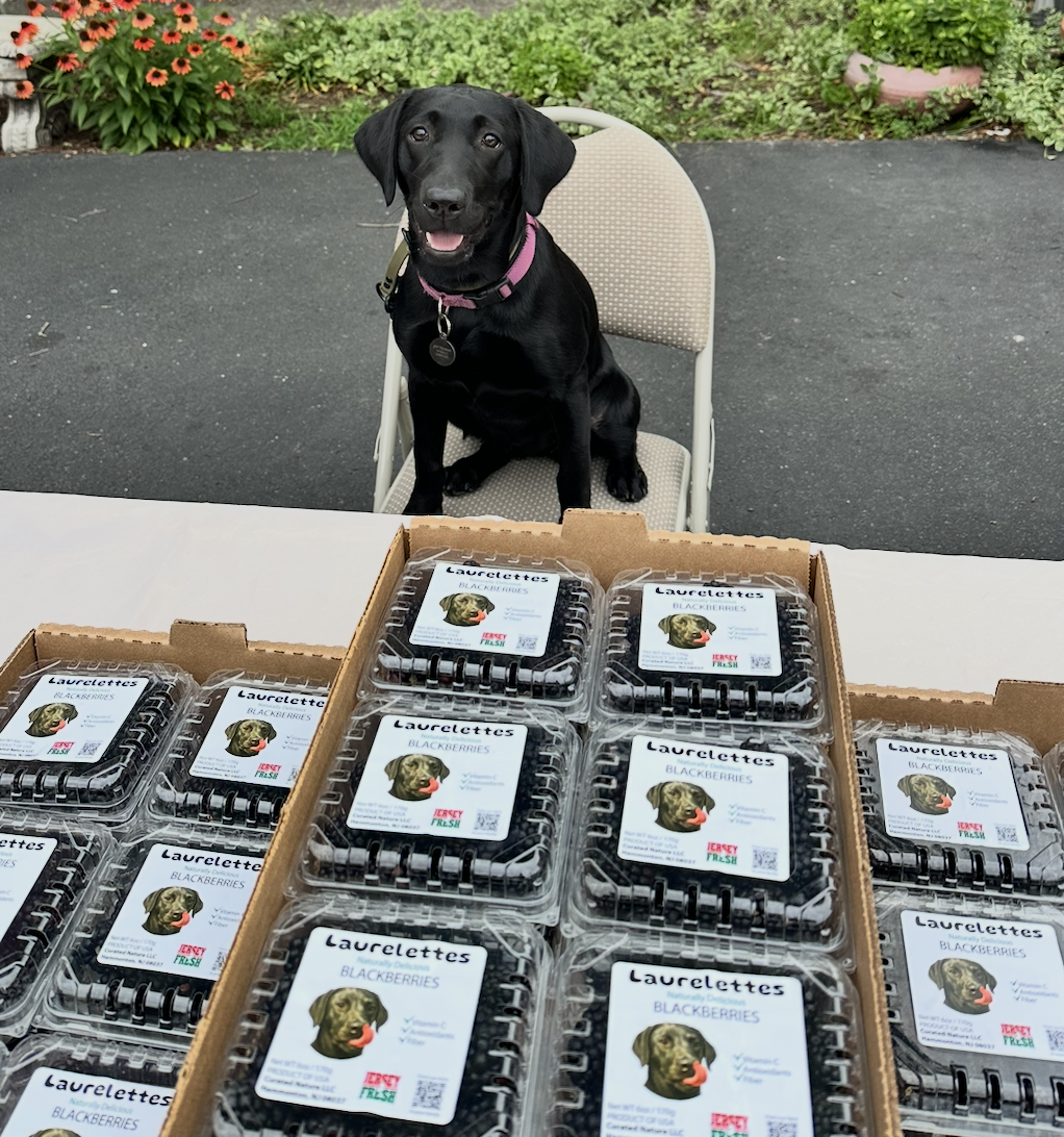 Screenshot 2026-01-14 at 12.33.18 PM.png