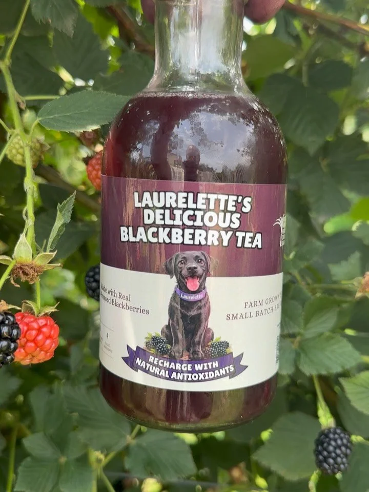 BIG NEWS FROM THE FARM: We made a tea!

Not just any tea, Laurelette&rsquo;s Delicious Blackberry Tea

Here&rsquo;s the whole story: we grow blackberries&hellip;A lot of them. And every summer we&rsquo;d stand in the rows eating the best ones thinkin