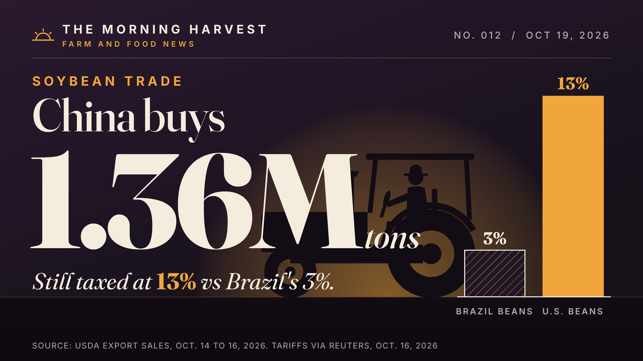 China Buys U.S. Soybeans Again: 1.36 Million Metric Tons in Three Days, USDA Flash Sales Show