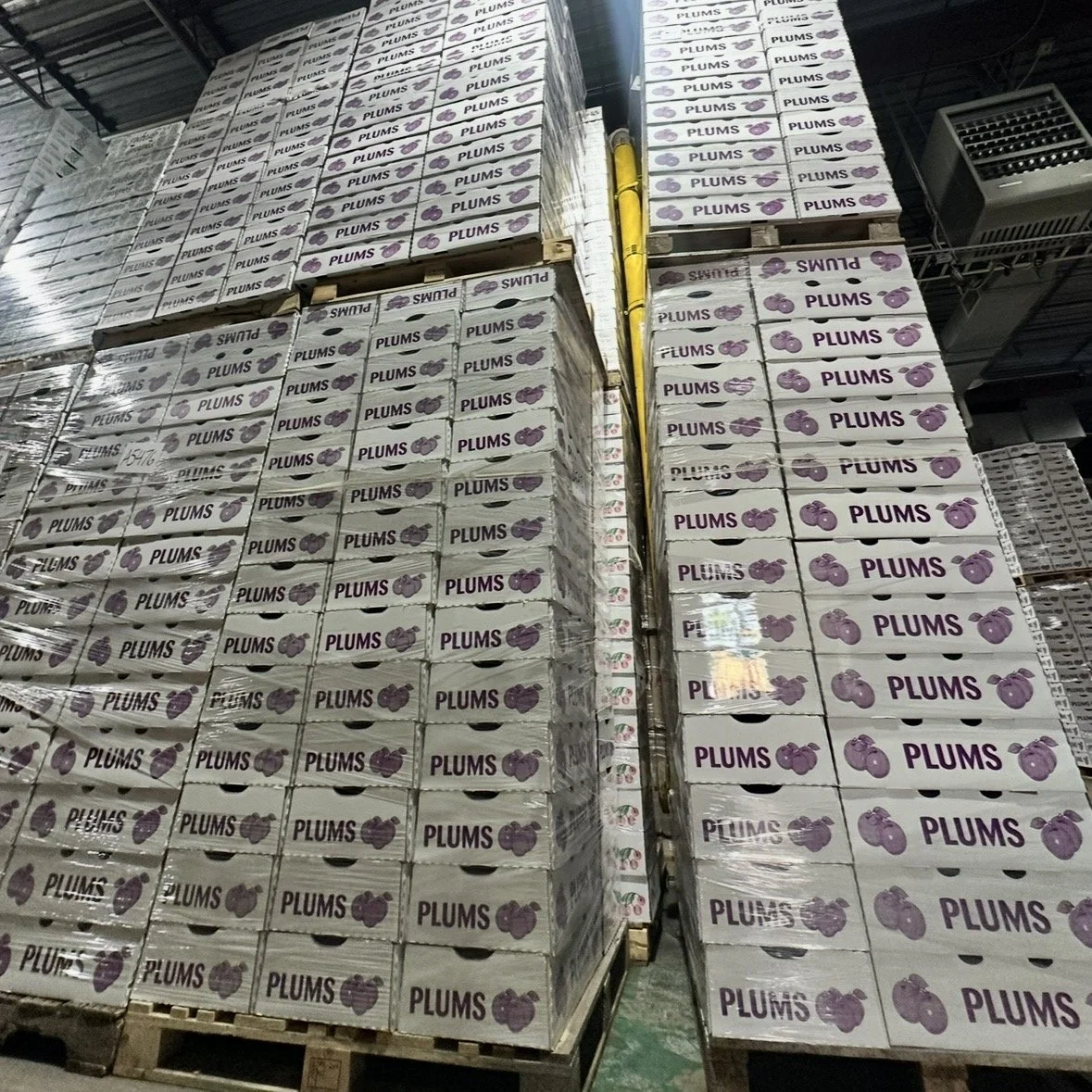 Pallets of fruit in the 34 °F walk-in cooler after culling and inspection at Curated Nature, Hammonton NJ