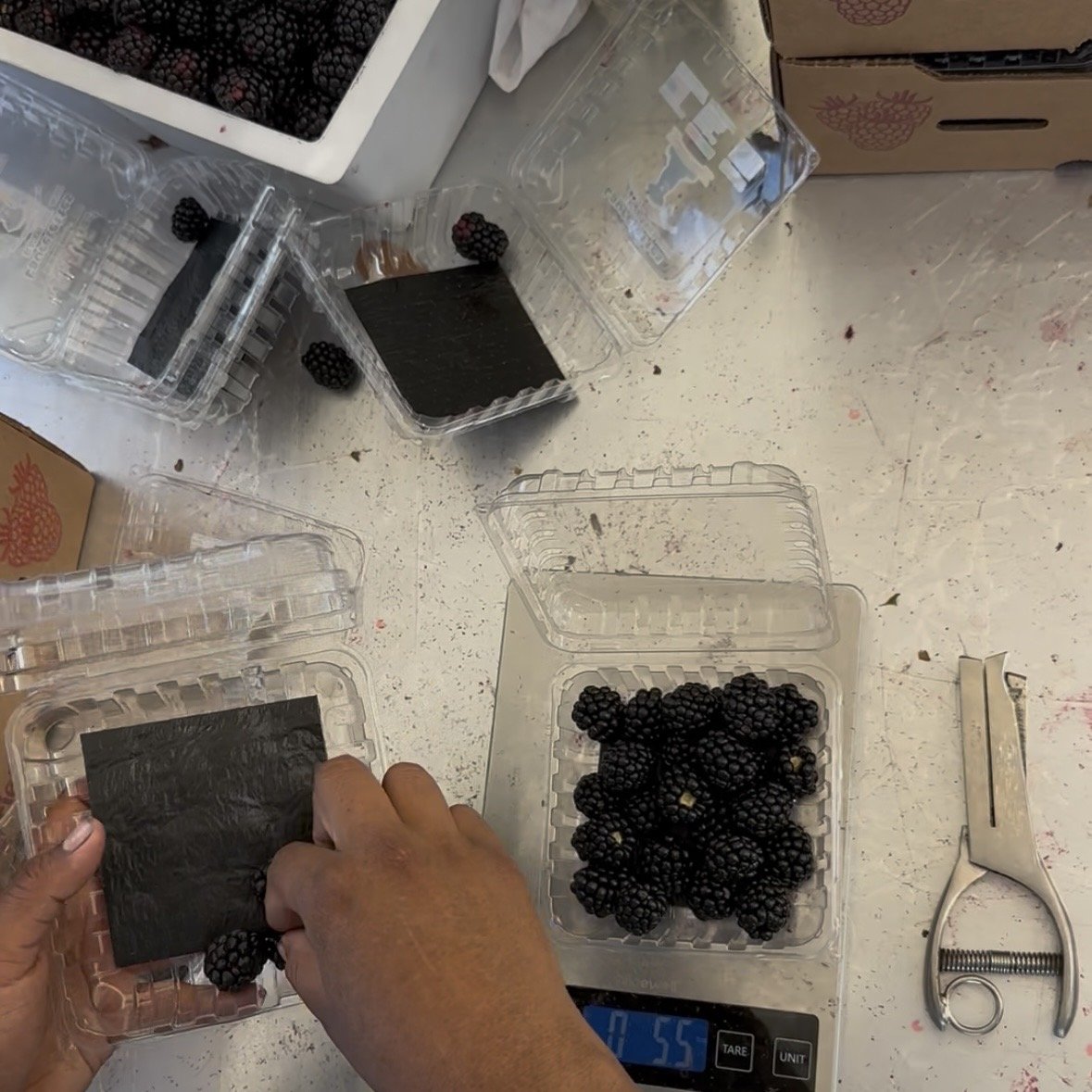 Person weighing blackberries in a plastic container on a kitchen scale with other containers of blackberries and a vegetable peeler nearby.