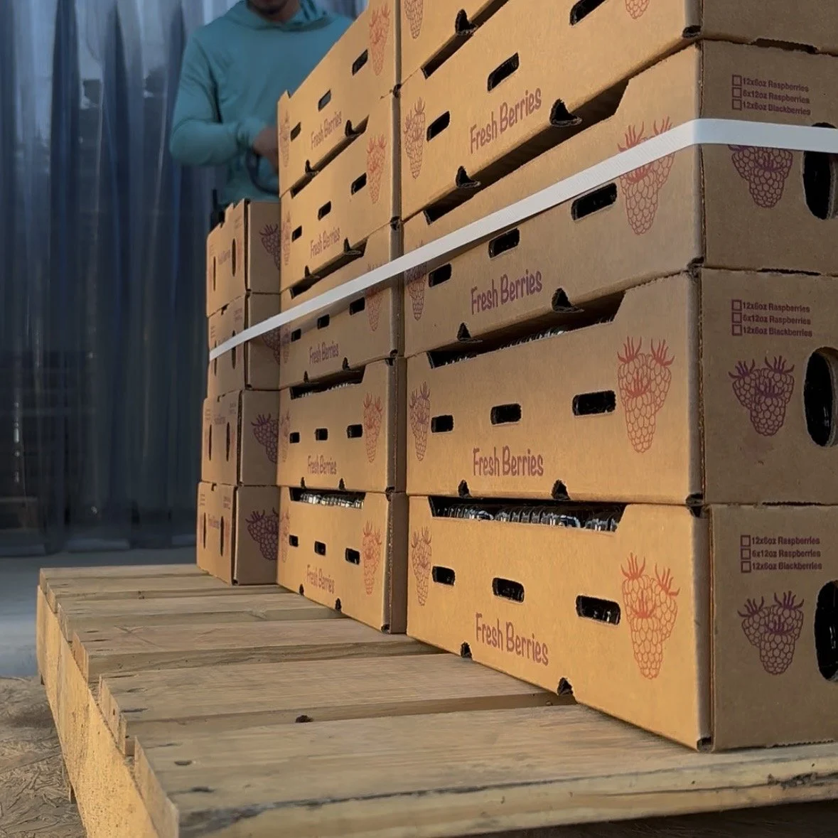Pallets of fruit in the 34 °F walk-in cooler after culling and inspection at Curated Nature, Hammonton NJ