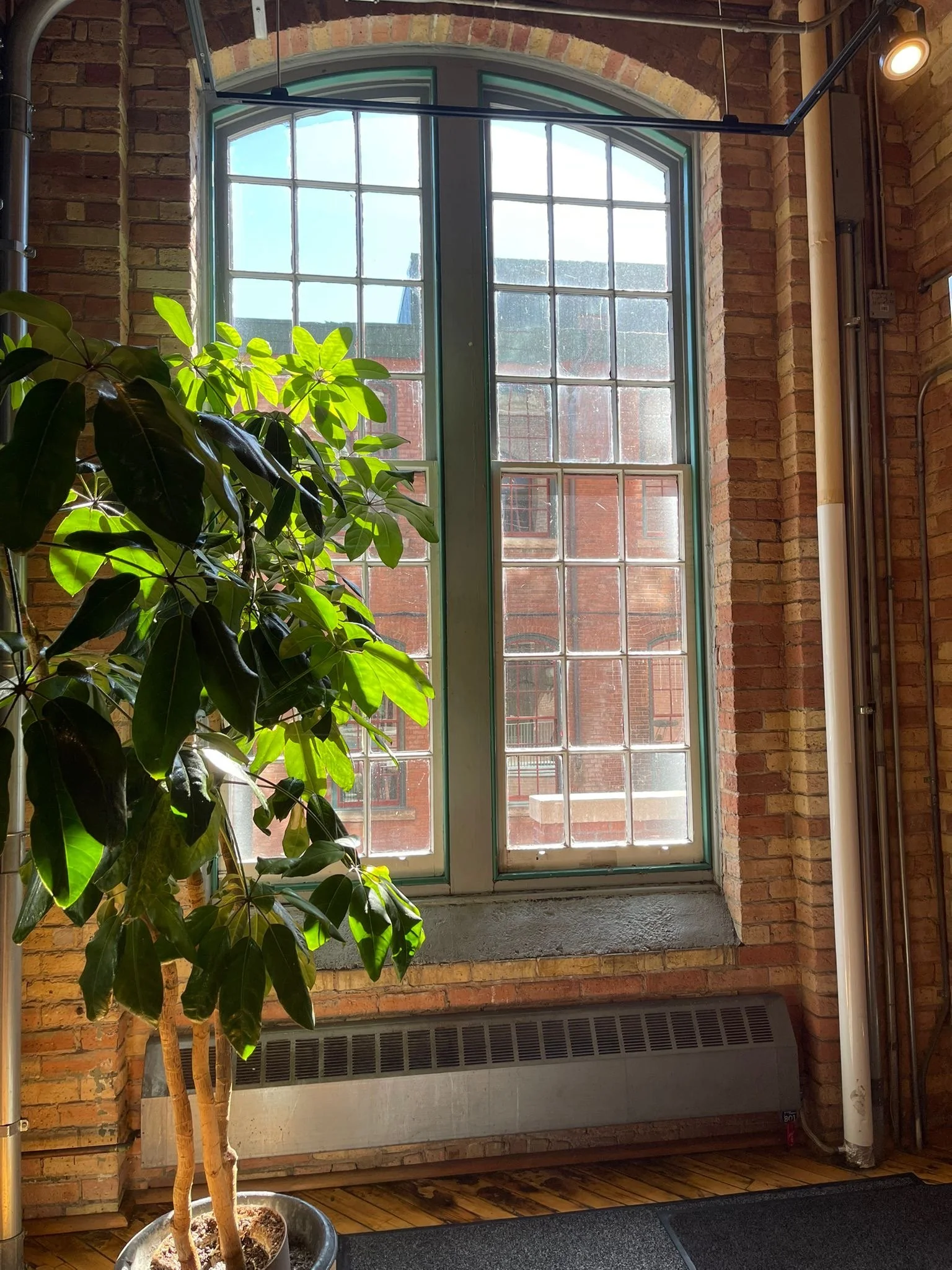 Online therapy Ontario for trauma