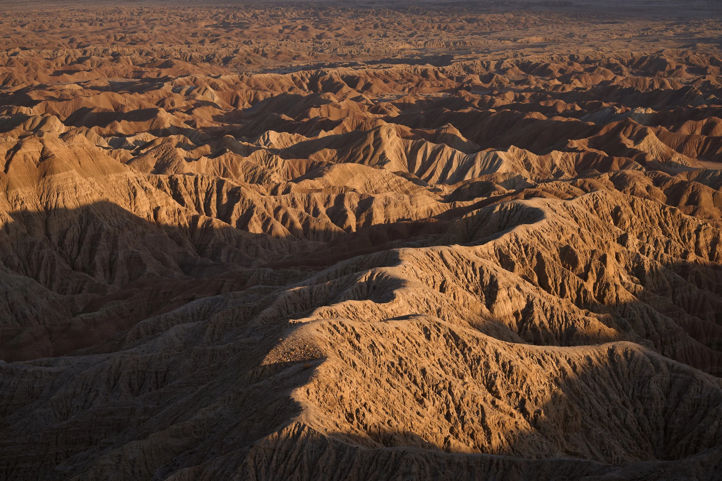 Hu_Stephen_FullRes 6 copy.jpg