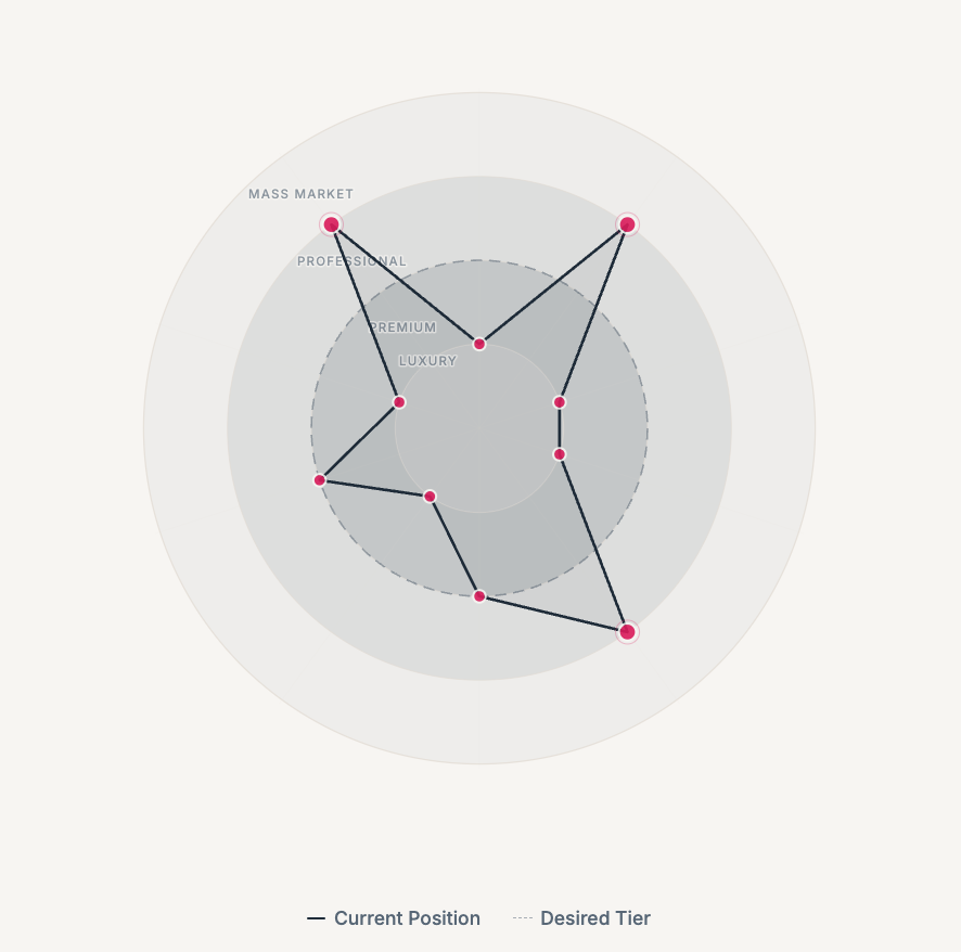 Market positioning diagnostic radar chart for coaching business signals